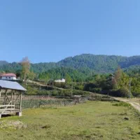 سوییت جنگلی اجاره ای در دل طبیعت|اجارهٔ کوتاهمدت آپارتمان و سوئیت|فومن, |دیوار