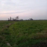 فروش شالیزار 900 متری عینک|فروش زمین و ملک کلنگی|رشت, نخودچر|دیوار