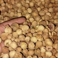 انجیر تازه استهبان