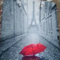 فروش انواع کیف  زنانه دخترانه بچه گانه|کیف، کفش، کمربند|نیشابور, شهرک بهارستان|دیوار