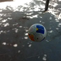 توپ چمن و سالن|ورزشهای توپی|تربت جام, حافظ|دیوار