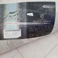 فرش نه متری فرش اتاق خواب|فرش|ساری, |دیوار