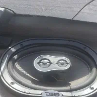 باند DS18 آمریکایی