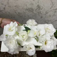 کیک خانگی و موچی
