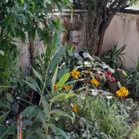 سوئیت-اجاری-دربست