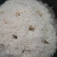 برنج فجر سوزنی|خوردنی و آشامیدنی|شاهرود, |دیوار