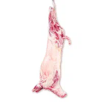 ذبح گوسفند پذیرش میشه|خدمات پذیرایی، مراسم|خوی, |دیوار