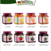 استخدام ویزیتور ایذه