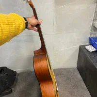 گیتار|گیتار، بیس، امپلیفایر|شیراز, حافظیه|دیوار