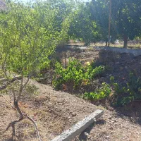 باغ ۲۰۰۰ متری در منطقه خوش آبوهوای سیوان|فروش دفتر صنعتی، کشاورزی، تجاری|مرند, |دیوار