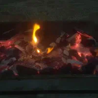 زغال کبابی درجه ۱ ج.ن.گ.ل.ی