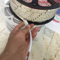 ریسه ۲۲۰ پشت چسب دار|ریسه و چراغ تزئینی|کرج, برغان|دیوار