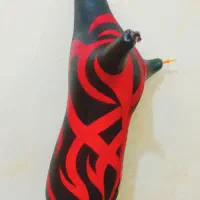 نی انبان|سازهای بادی|قم, چهل درخت|دیوار