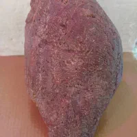 فسیل|جواهرات|طرقبه, |دیوار