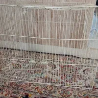قفس . قفس پرنده