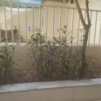 خانه-اجاره-ای-کارگر