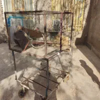 گاری چهار چرخ|ابزارآلات|خاش, |دیوار