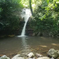 راحت طلا بخر