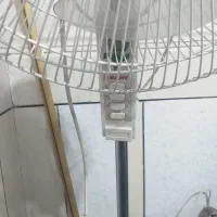 پنکه ایستاده