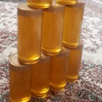 عسل کوهی کوهای بینالود