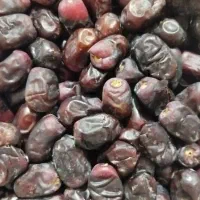 خرما/خرما مضافتی/بم/ریگان/فروش|خوردنی و آشامیدنی|ریگان, |دیوار