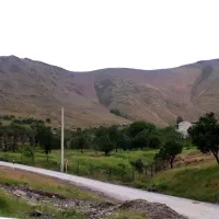 باغ نظم آباد