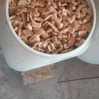 نان خشک