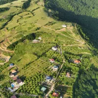 زمینهای تفکیکی در گیلان فرصت ویژه سرمایه گذاری|فروش زمین و ملک کلنگی|برهسر, |دیوار