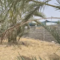 زمین باغ شهری بهارستان