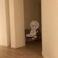 میترا هستم  هدیه سرمایکس ۶۵۰ تومان اماده دریافت