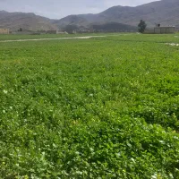 فروش طبقه دوم زیرقیمت