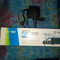 آکواریوم و لوازم|ماهی|قم, انصار‌الحسین|دیوار