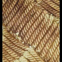 کباب کوبیده گوشت و مرغ عمده و ویژه مهمانی ها