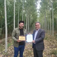 فروش نهال صنوبر مخصوص کشاورزان وتسویه بعد تحویل