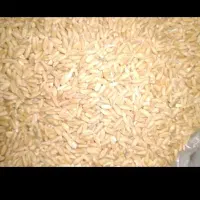 فروش 10 تن گندم  دیم تعمیز درجه یک