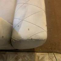 سم پاشی و سمپاشی تضمینی|خدمات نظافت|رشت, کوی جام جم|دیوار