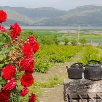 سویت باغ اجاره ایی