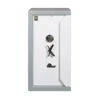 گاوصندوق جااسلحه گنجینه مدل weapon|فروشگاه و مغازه|میاندوآب, |دیوار