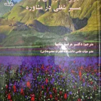 کاربرد نظریه رشد مسیر شغلی در مشاوره