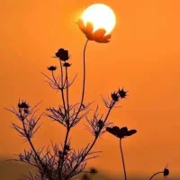 اجاره اتاق ولاین در سالن زیبایی