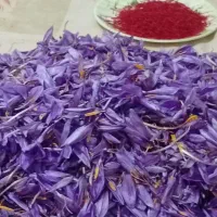 زعفران توزیع وپاک کن
