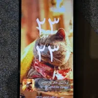 گوشی ردمی a3 سالم|موبایل|زابل, |دیوار