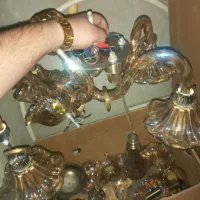 لوستر شاخه ای سالم