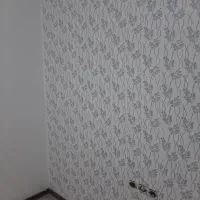 نقاشی ساختمان نقاشی طرح کاغذ دیواری قیمت مناسب|خدمات پیشه و مهارت|پاکدشت, پاکدشت (مامازند)|دیوار