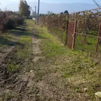 ۲۱۴ متر زمین چالوس میانده