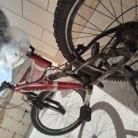 دوچرخه مارک ویوا|دوچرخه، اسکیت، اسکوتر|خمینی‌شهر, |دیوار