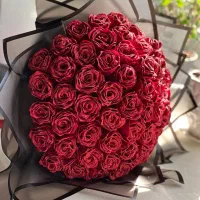 گل ربانی فول شاین
