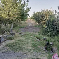 زمین باغی دور دیوار کاربری باغی