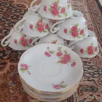 شیرخوری لاله ای گلسرخی مسعود