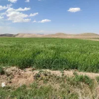 معاوضه-زمین-باآب-مادام-العمر-جنب-مسکن-ملی-زیرقیمت